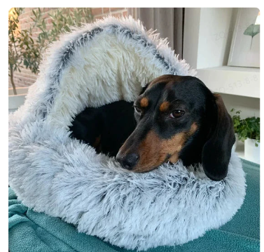 2-in-1 Pet Bed – Cozy Washable Bed for Cats & Small Dogs