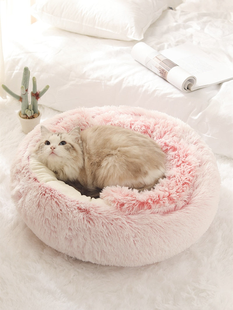 2-in-1 Pet Bed – Cozy Washable Bed for Cats & Small Dogs