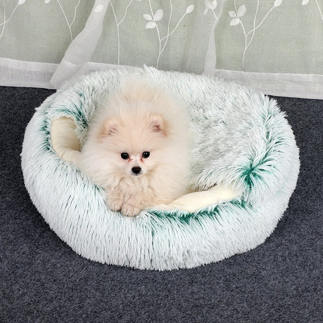 Small white dog in a fluffy green and white pet bed on a dark floor.
